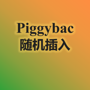 1.Piggybac随机插入