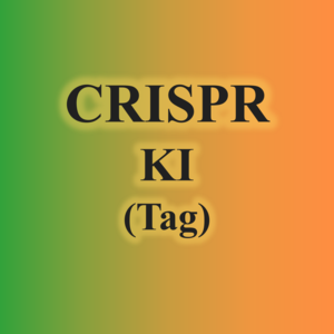 3.CRISPR KI(Tag)