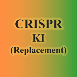 4.CRISPR KI(Replacement)