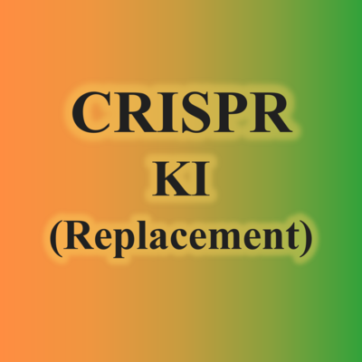 4.CRISPR KI(Replacement)