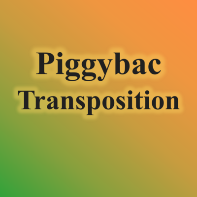 1.Piggybac Transposition