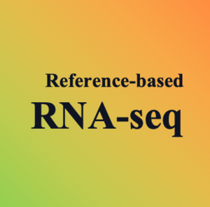 真核有参转录组测序分析