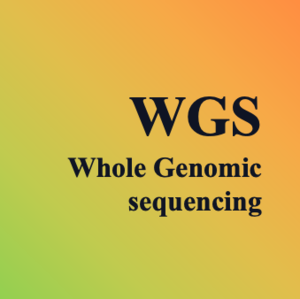 全基因组测序